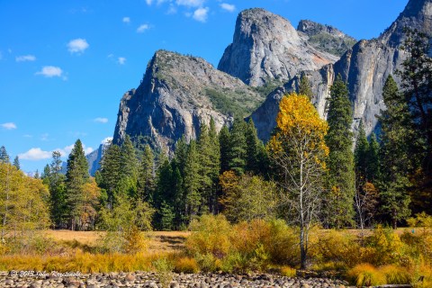 You’ll Be Happy To Hear That Northern California’s Fall Foliage Is Expected To Be Bright And Bold This Year