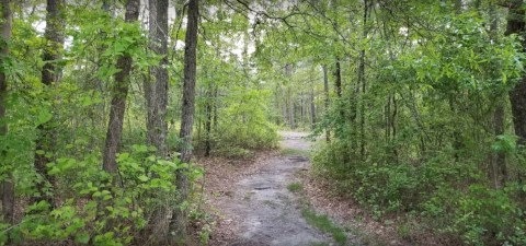 One Of America's Most Haunted Trails Is Right Here In North Carolina And You Won't Want To Hike It Alone
