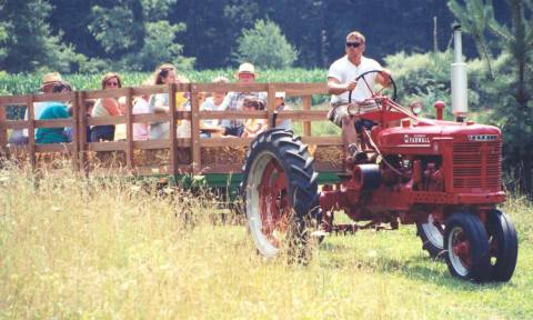 Nothing Says Fall Is Here More Than A Visit To Delaware's Charming Pumpkin Farm