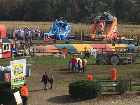 Get Lost In This Awesome 8-Acre Corn Maze In Massachusetts This Autumn