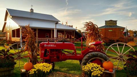 The 11 Best Places In Wisconsin To Get Your Apple Cider Donut Fix This Fall