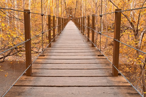 The Remarkable Bridge In Maryland That Everyone Should Visit At Least Once