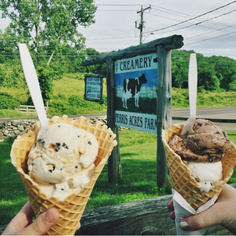 The 7 Best Places In Connecticut Where You Can Get Fall Flavored Ice Cream