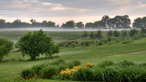 The Whole Family Will Love This Apple Orchard And Farm Right Outside Of Nashville