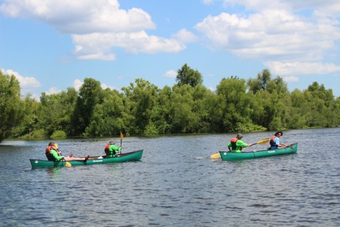 These 6 Paddle Trails In Louisiana Will Bring Out The Explorer In You