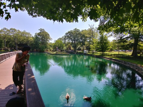 Most People Don’t Know About This Underrated Zoo Hiding In Massachusetts