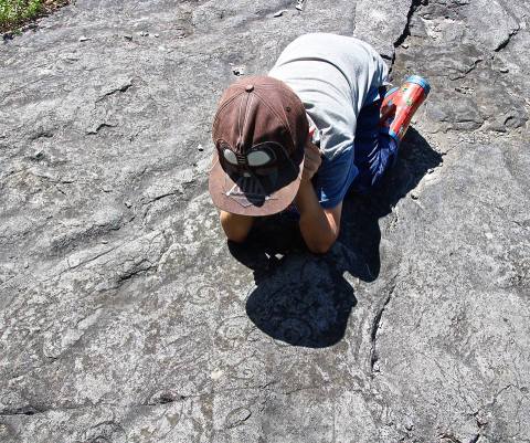 Journey To A Time Before Humans On This Vermont Fossil Hike