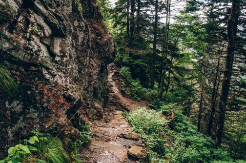 You'll Never Forget A Hike Through This Tennessee Cave