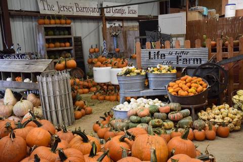 A Trip To This Vibrant Pumpkin Patch Near Austin Will Put You In The Mood For Fall