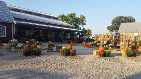 The World’s Freshest Jams Are Tucked Away Inside This Hidden Iowa Farm Market