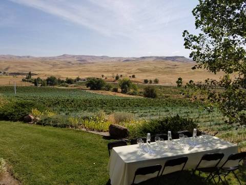 This Winery In Idaho With Views That Stretch For Miles Is Begging For A Visit