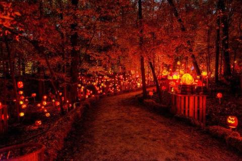 Minnesota's Glowing Pumpkin Trail Is A Great Way To Celebrate Fall