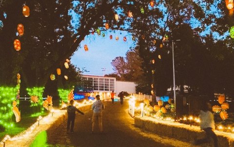 Utah's Glowing Pumpkin Trail Is A Great Way To Celebrate Fall