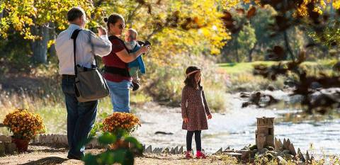 You'll Want To Visit Connecticut's Enchanting Faerie Village This Fall