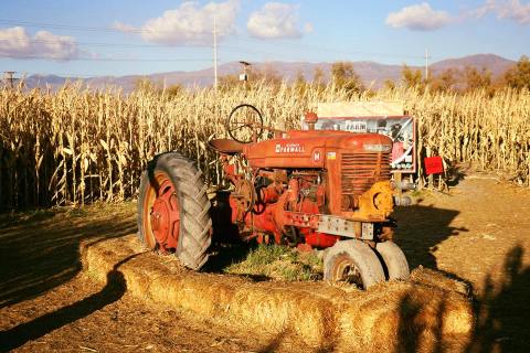 A Trip To This Utah Ranch Is The Perfect Way To Spend An Autumn Day