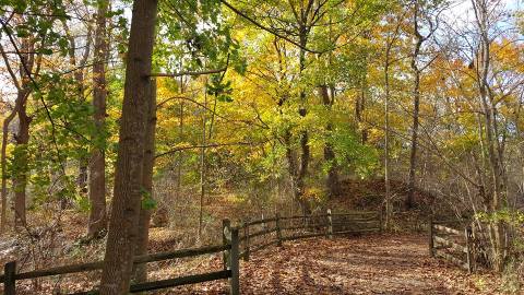 The Awesome Hike That Will Take You To The Most Spectacular Fall Foliage In Delaware