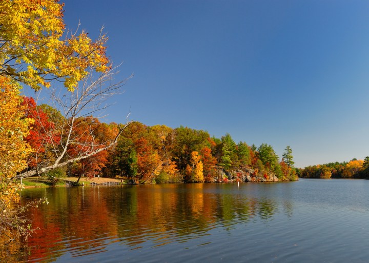 fall foliage in WI