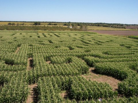 Get Lost In This Awesome 15-Acre Corn Maze In Kansas This Autumn