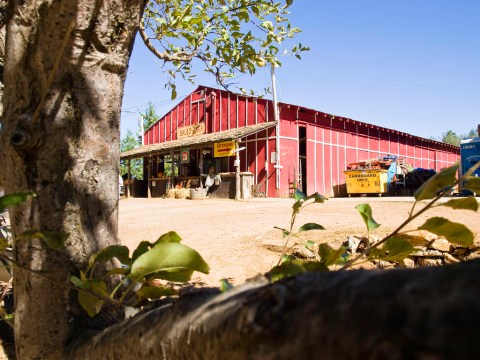 Northern California Has More Than 50 Apple Farms On This One Hill And It's Downright Heavenly