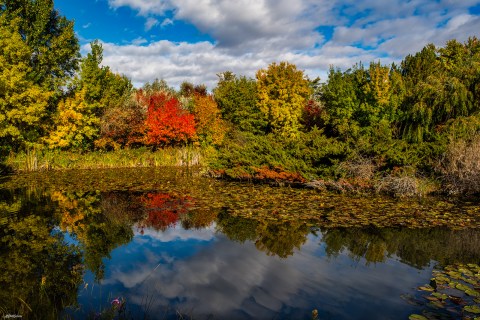 You'll Be Happy To Hear That Idaho's Fall Foliage Is Expected To Be Bright And Bold This Year