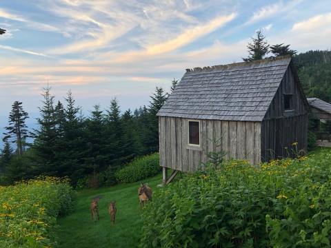 This Historic Mountain Lodge In Tennessee May Be Your New Favorite Hideout