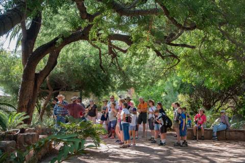 You Could Spend All Day In This Enchanting Arizona Garden And Never Grow Tired