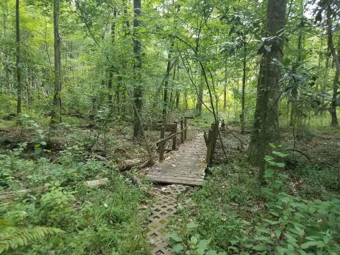 The One Trail In Louisiana That Will Lead You Miles Away From It All