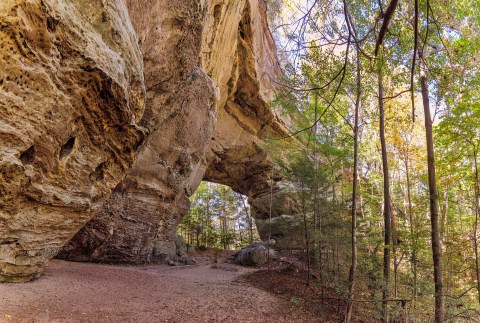 The Enchanting Halloween Hike Near Nashville Your Whole Family Will Love