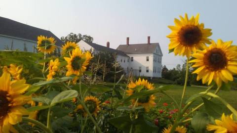 The 9 Best Places In Maine To Get Your Apple Cider Donut Fix This Fall