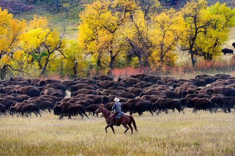 One Of South Dakota's Most Anticipated Annual Events Is Coming... And You Won't Want To Miss It