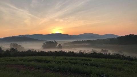 This Mountain Orchard Apple Festival Might Be The Most Virginia Thing Ever