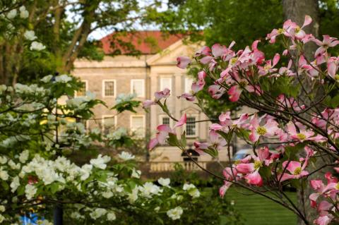 You Could Spend All Day In This Enchanting Tennessee Garden And Never Grow Tired