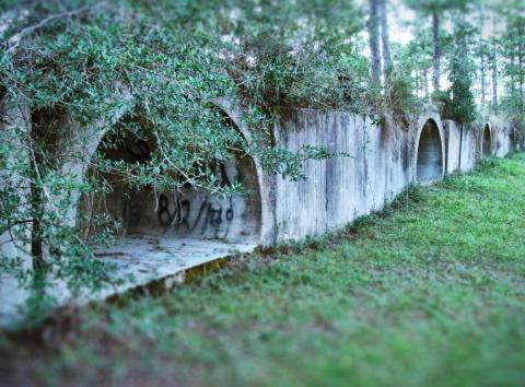 There's A Hike In Mississippi That Leads You Straight To An Abandoned WWII POW Camp