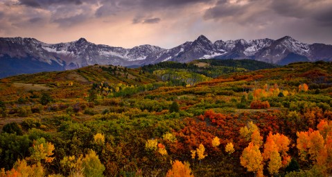 The Best Times And Places To View Fall Foliage In Colorado