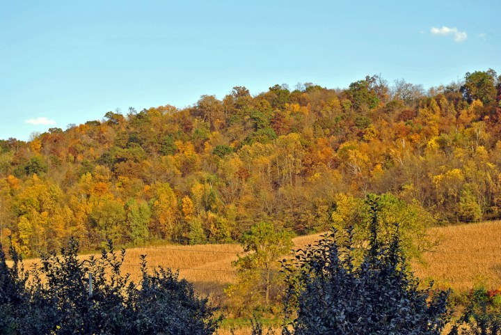 best fall colors in WI