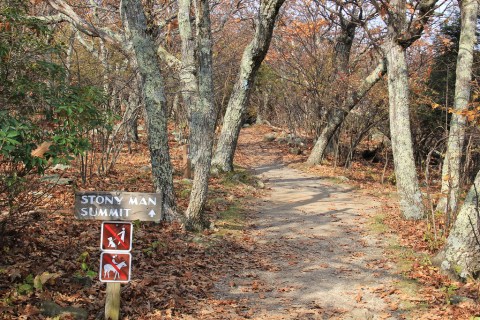 The Awesome Hike That Will Take You To The Most Spectacular Fall Foliage In Virginia