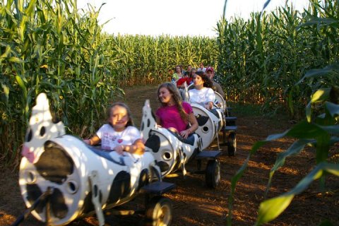 Get Lost In This Awesome 8-Acre Corn Maze In Mississippi This Autumn