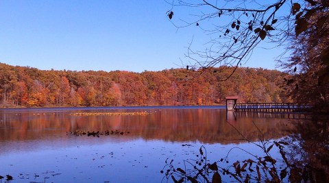 The 7 Best Road Trips From Nashville To See Fall Foliage