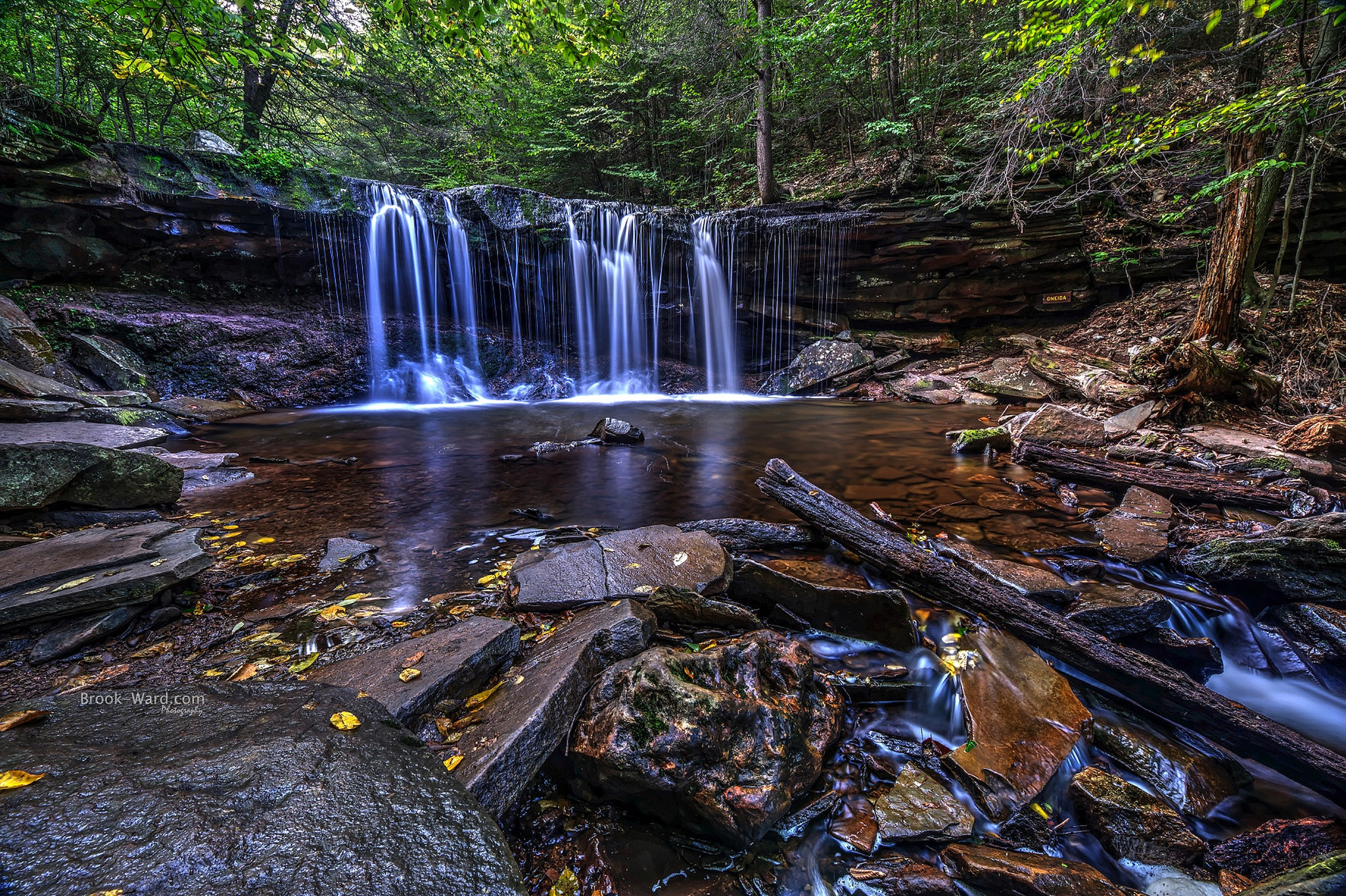 Pennsylvania banner image