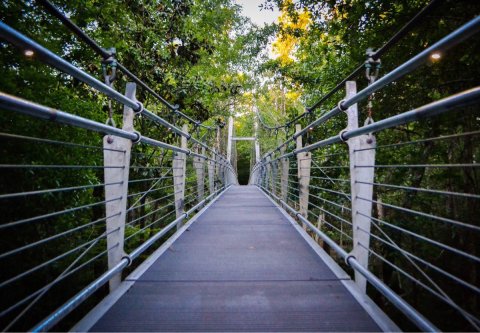 This Is The Newest Park In Mississippi And It's Incredible