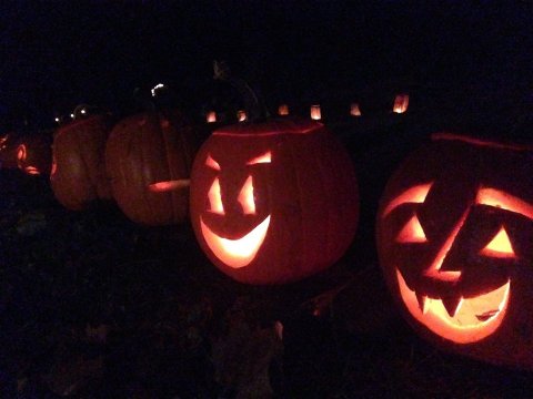 The Enchanting Halloween Hike In Pittsburgh Your Whole Family Will Love