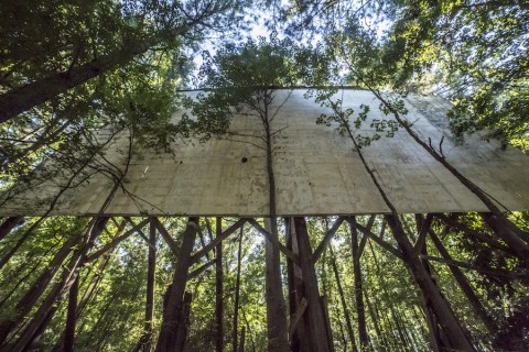 Time Stands Still At This Abandoned Arkansas Amusement Park