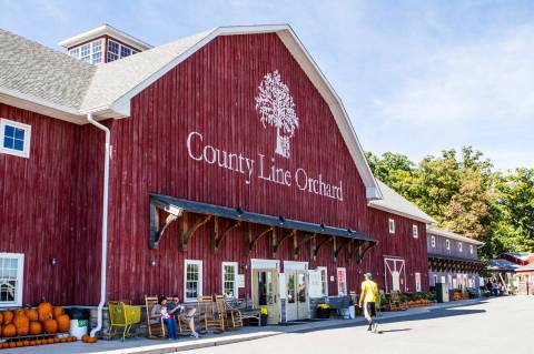 The Perfect Fall-Themed Donuts At This Indiana Orchard Will Make Your Taste Buds Sing