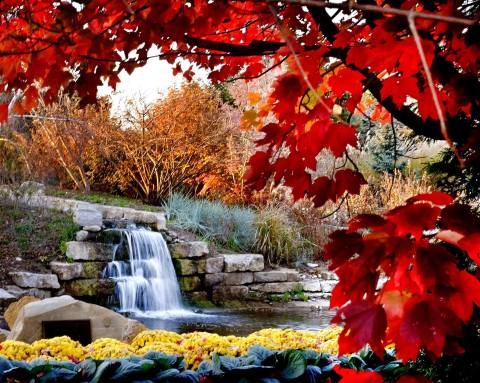 9 Kansas Parks And Arboretums Perfect For Getting Lost In Fall Foliage