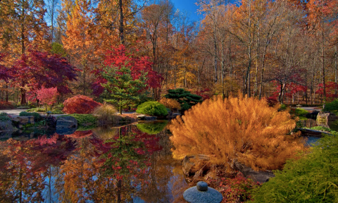 Nothing Says Fall Is Here More Than A Visit To Georgia's Charming Maple Garden