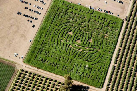 Get Lost In This Awesome 5-Acre Corn Maze In Southern California This Autumn