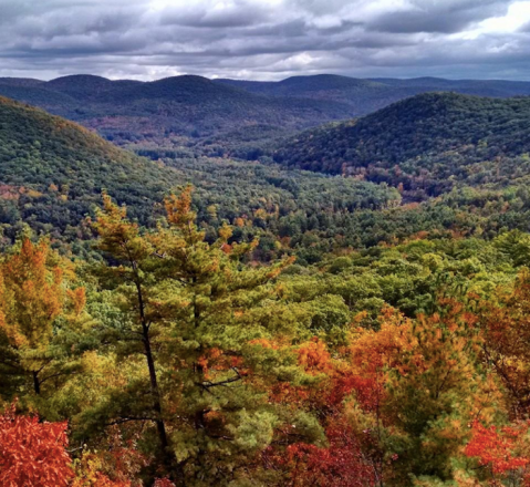 The Incredible Connecticut Park You’ll Want To Visit Over And Over Again