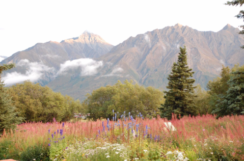 This Rustic Lodge Hiding In Alaska Is Downright Majestic