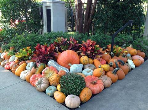 The Quirky Texas Town That Transforms Into A Pumpkin Wonderland Every Fall