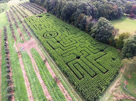 Get Lost In This Awesome 5-Acre Corn Maze In Connecticut This Autumn